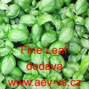 Bazalka pravá vonná Fine Leaf