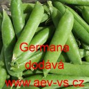 Hrách setý k vylupování Germana