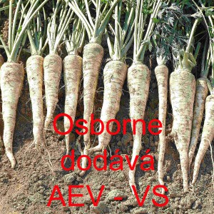 Petržel kořenov&aacute; Osborne