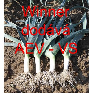 Pór zahradní Winner