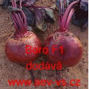 Řepa červená salátová hybridní Boro F1