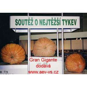 Tykev velkoplod&aacute; Gran Gigante Maxi