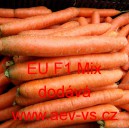 Mrkev obecná hybridní Nantes/Berlikum polopozdní EU F1 Mix