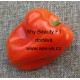 Paprika roční zeleninová hybridní Shy Beauty F1
